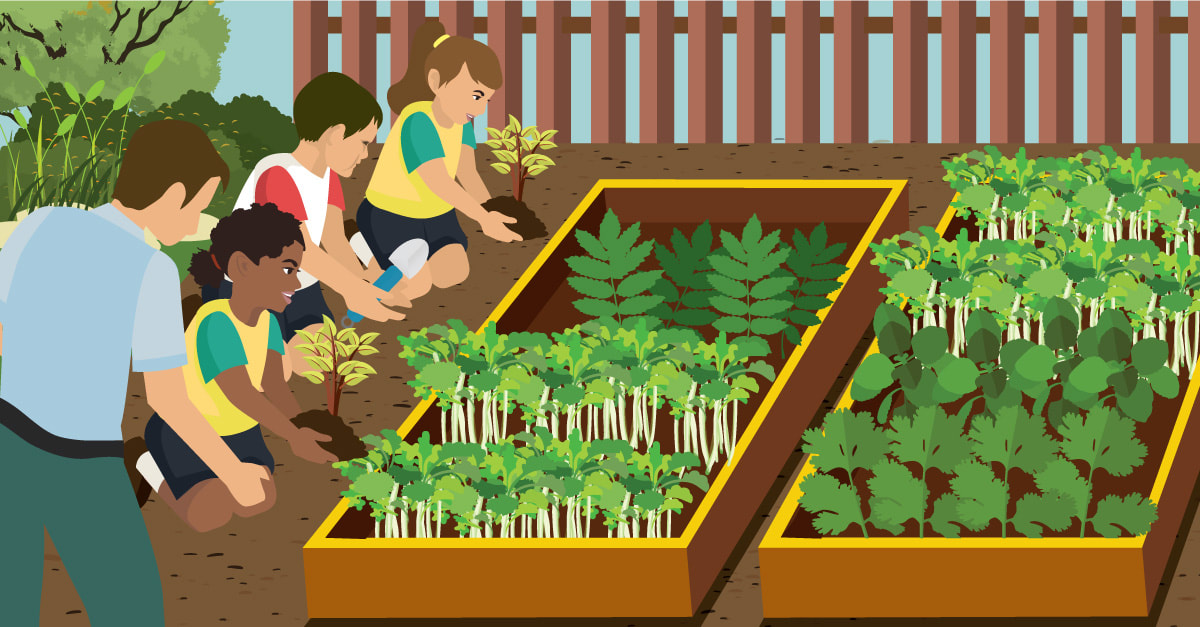 Vertical Gardens in Educational Settings: Cultivating Young Minds