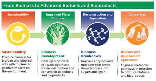 From Lab to Market: A Thought Leader's Journey in Biofuel Entrepreneurship