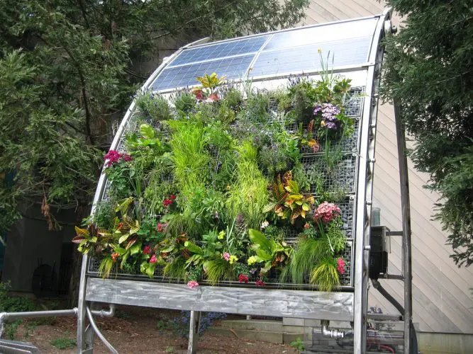 Smart Vertical Gardens: The Future of Gardening