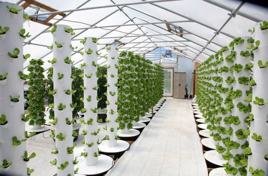 Vertical Farming and Community Gardens