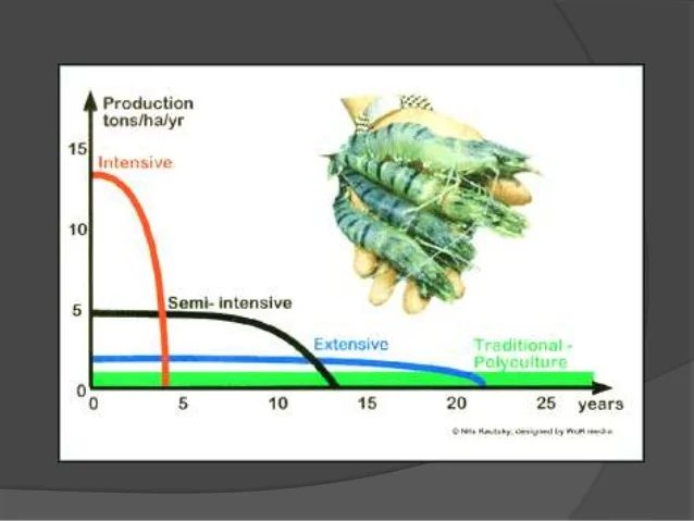 Investing in the Blue Revolution: Opportunities and Risks