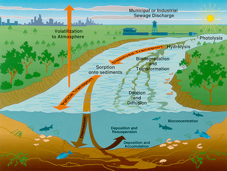 Emerging Contaminants in Wastewater