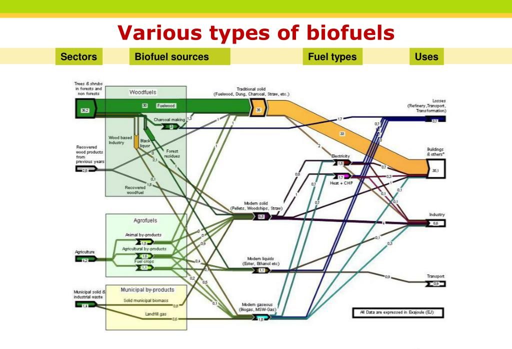 Types of Biofuels: An Overview