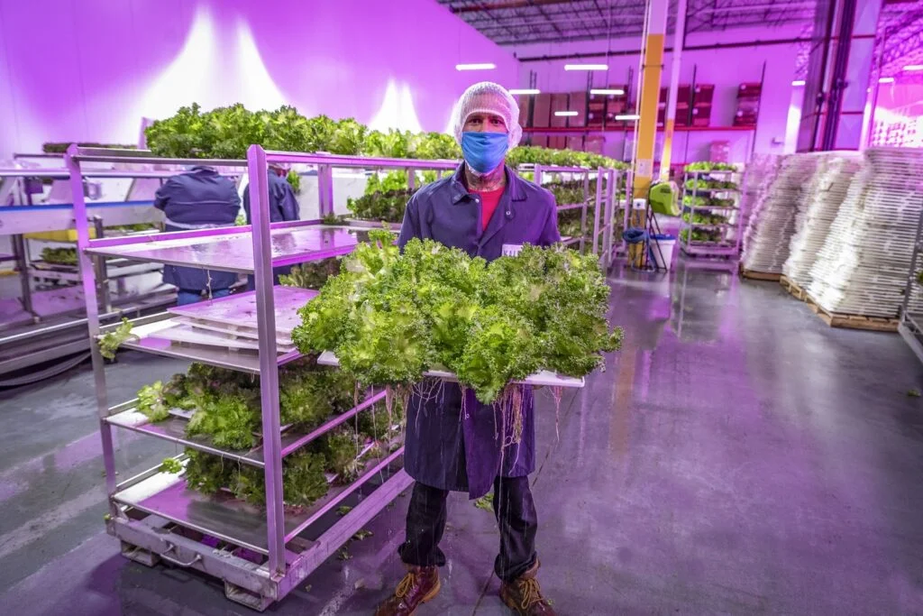 Vertical Farms as Laboratories for Agricultural Research