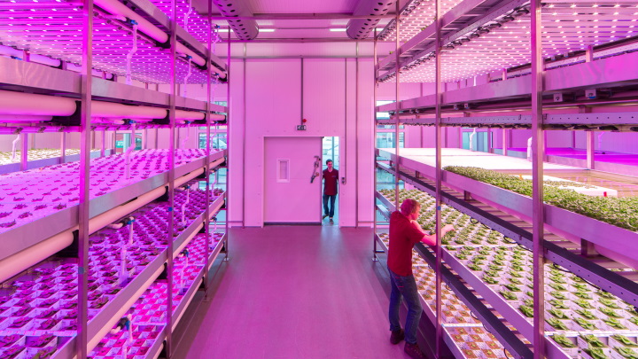 Vertical Farm Lighting and Climate Control