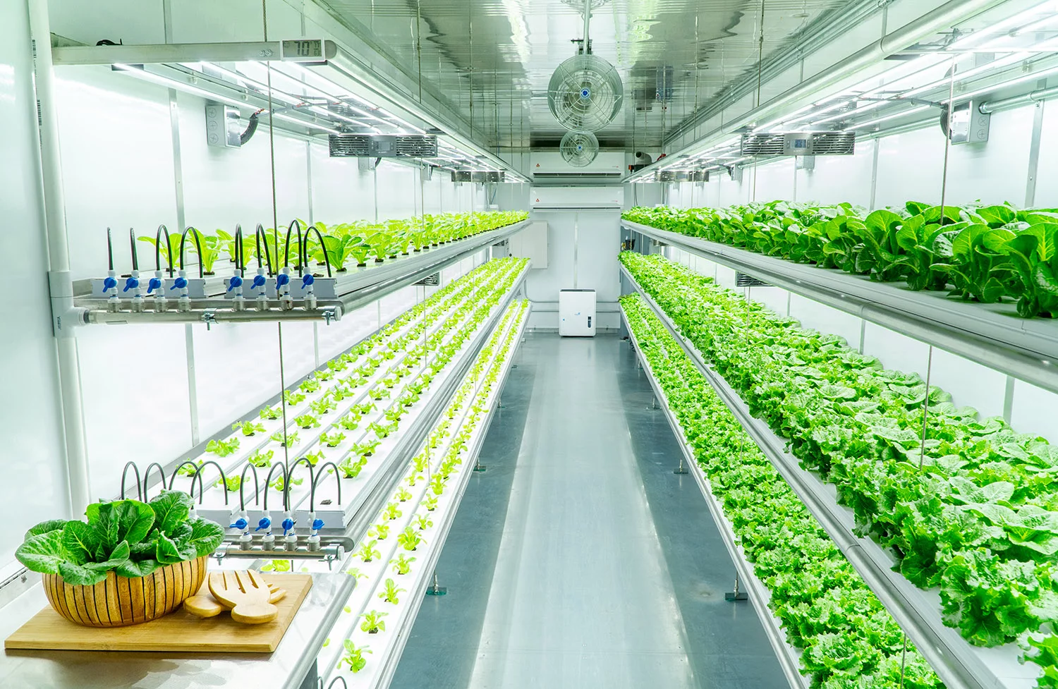 Vertical Farming and Food Security