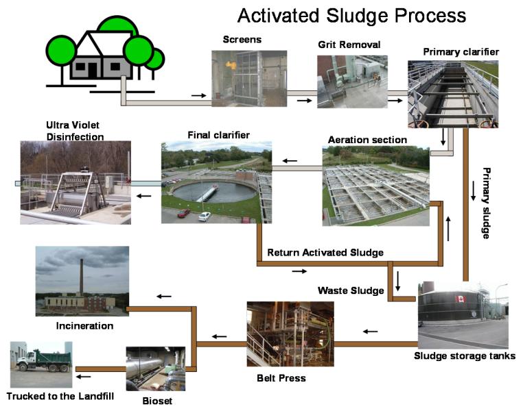 Innovations in Sludge Management from Wastewater Treatment