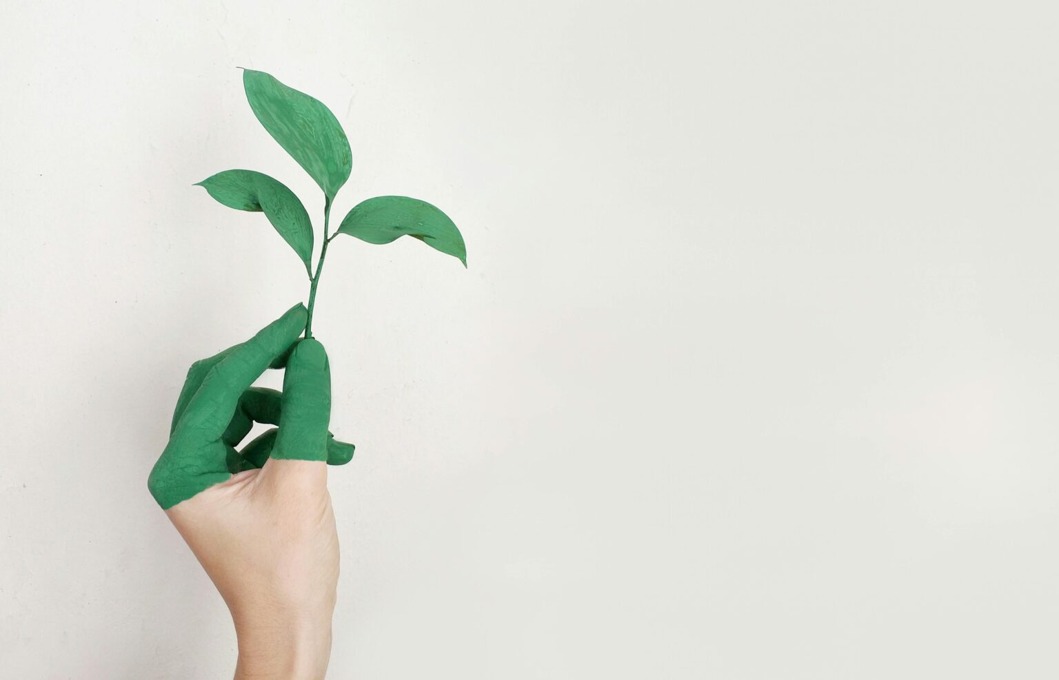 The Latest Breakthroughs in Sustainable Living That You Need to Know